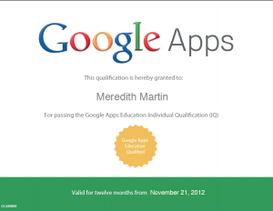 Google Apps Qualified Individual Certificate
