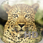 App Review – Animal Kingdom HD