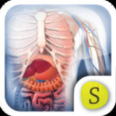App Review – Build A Body