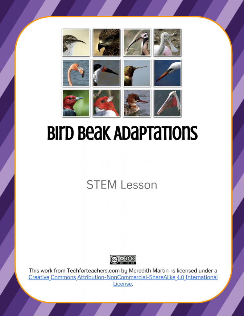 Stem Lesson Bird Beak Adaptations Tech For Teachers 7949