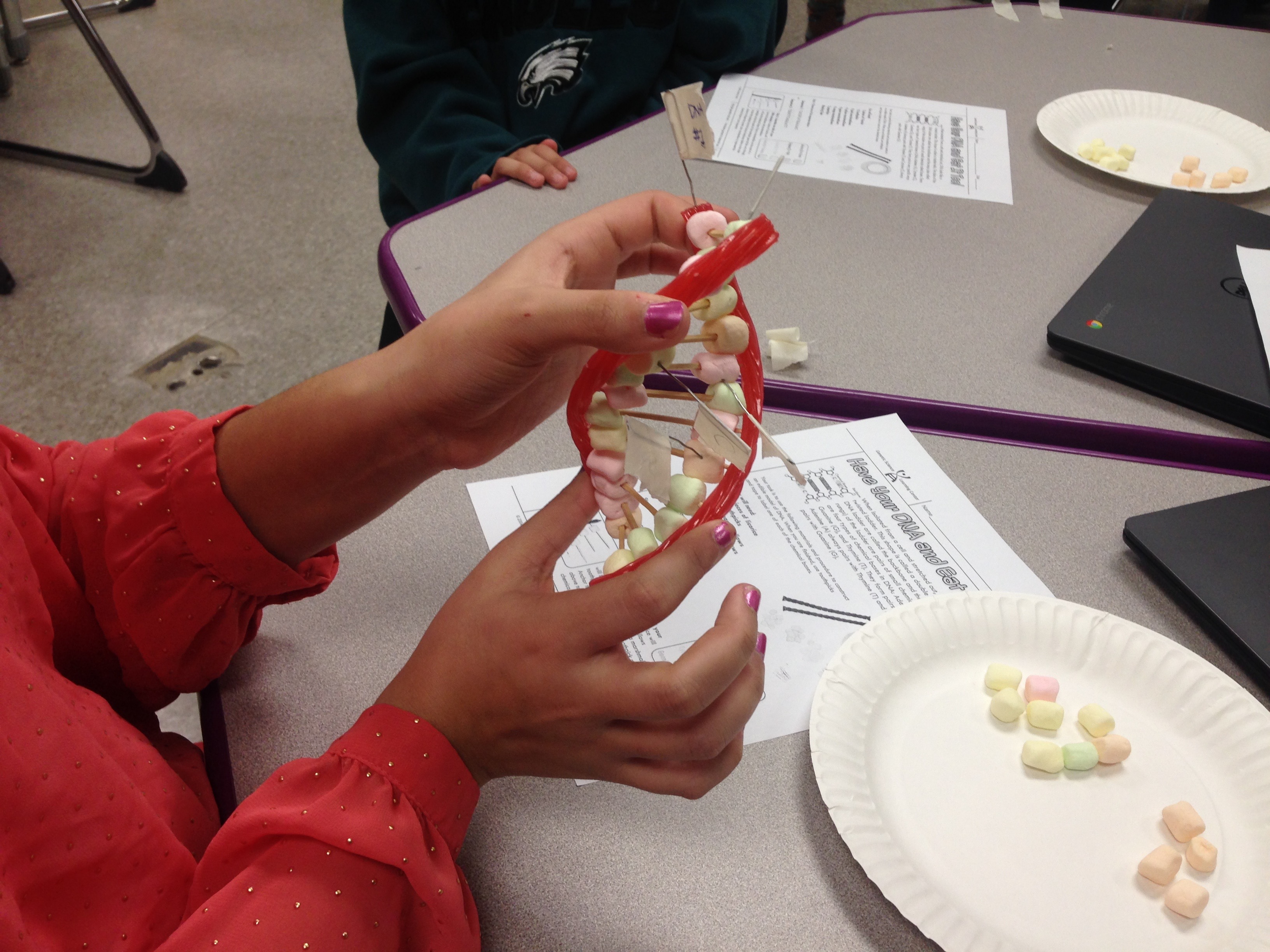 STEM Lesson – Edible DNA