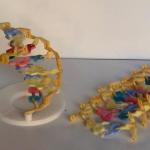 DNA Construction Kit